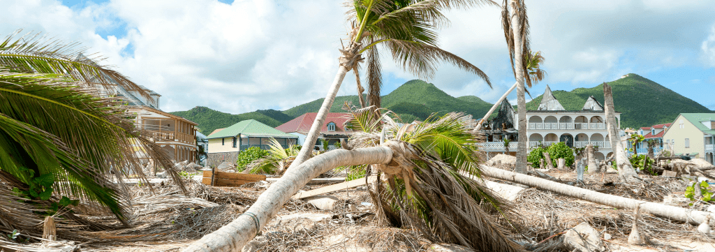 hurricane damage